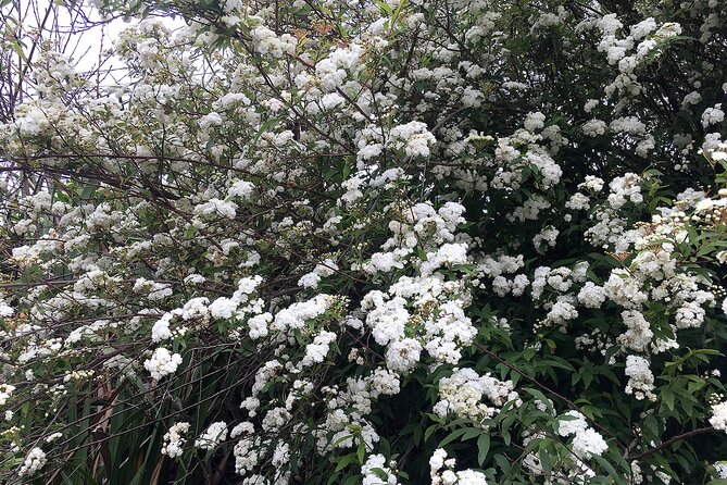 Vale Paraiso - Paradise Valley Walk - Food Breaks and Refreshments