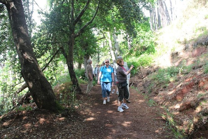 Vale Paraíso - Rochão (Half Day Walk) - Explore Funchal’s Green Oasis on a Half-Day Walk for €37.08