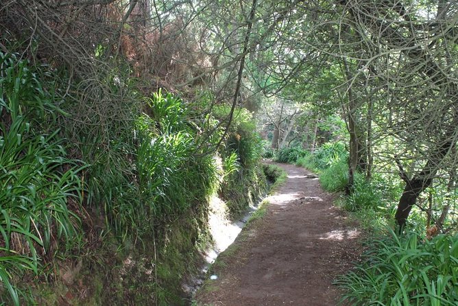 Vale Paraíso - Rochão (Half Day Walk) - Discover Madeira’s Verdant Forests and Scenic Vistas