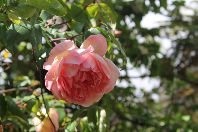 Vale Paraíso - Rochão (Half Day Walk) - What the Tour Includes and What You Need to Bring