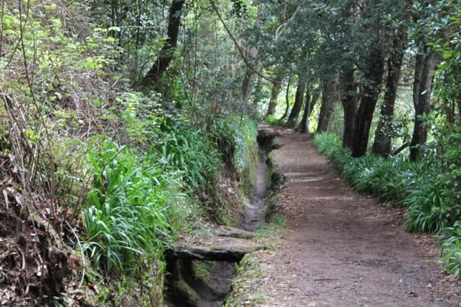 Vale Paraíso - Rochão (Half Day Walk) - Practical Tips for Your Madeira Forest Walk