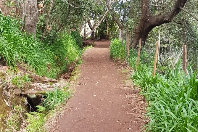 Vale Paraíso - Rochão (Half Day Walk) - Why Choose the Vale Paraíso - Rochão Walk?