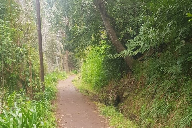 Vale Paraíso - Rochão (Half Day Walk) - The Sum Up: A Scenic Start to Madeira Adventures