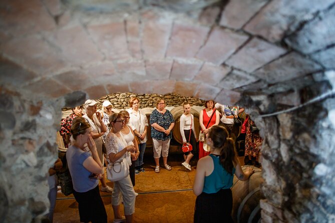 Valeggio: Sorsi dEstate, 3 young wines with guided tour - Discover the Charm of Corte Fornello’s Wine Experience in Vicenza