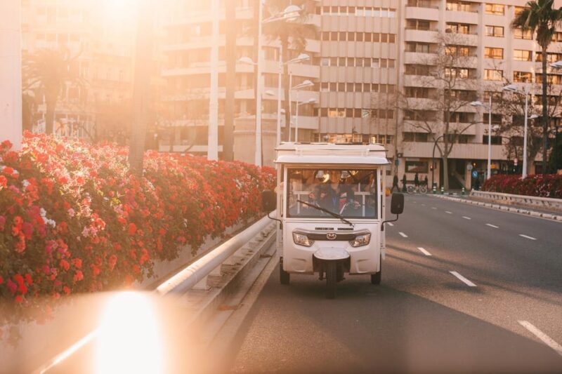 Valencia 1 hour by TukTuki: Essential and Private Tour - The Electric TukTuk: Comfort and Sustainability