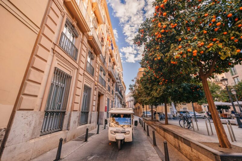 Valencia 1 hour by TukTuki: Essential and Private Tour - Who Will Appreciate This Tour?