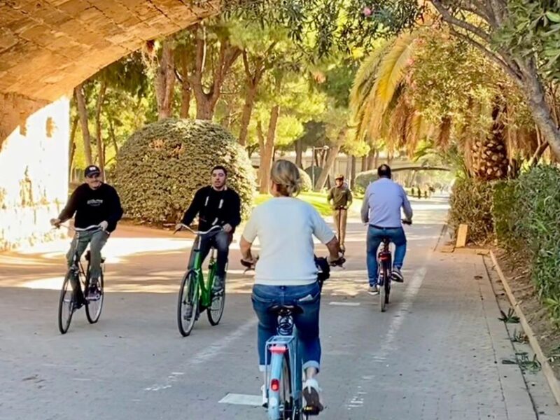 Valencia: 2-in-1 Biking and Walking Audio-Guided Route - Biking Route: Covering 24 or 30 Kilometers Across Valencia