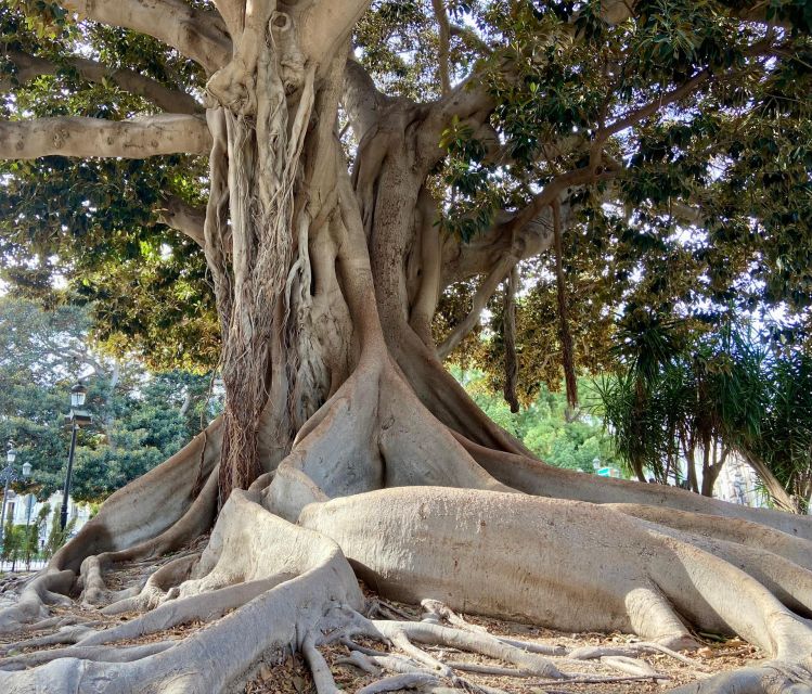 Valencia: 2-in-1 Biking and Walking Audio-Guided Route - Walking Route: Discover Valencia’s Historic Old City