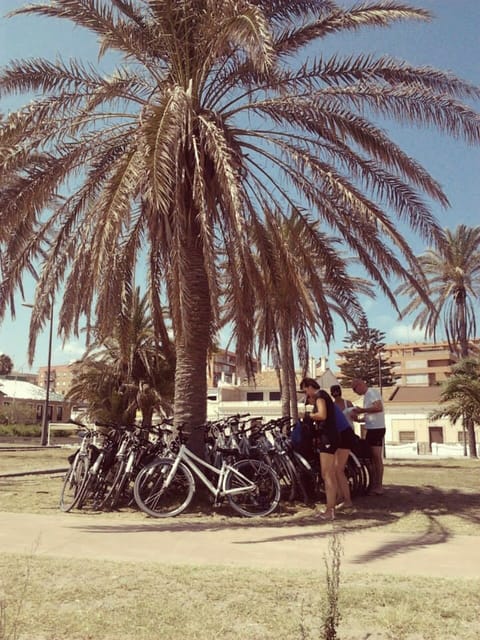 Valencia: 3-Hour City Bike Tour - Pacing and Physical Considerations