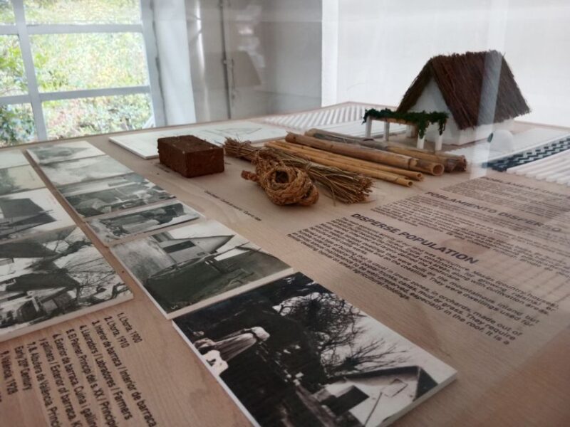 Valencia: Albufera Jeep and Boat Tour - The Role of Guides in Making the Tour Memorable