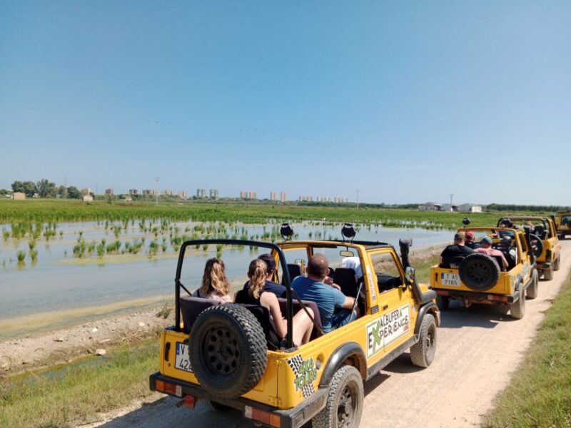 Valencia: Albufera Jeep and Boat Tour - Who Will Love This Tour Most