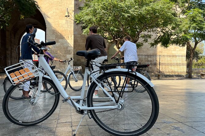 Valencia Bike Tour: Explore the City with a Local Guide - Discovering the Green Tranquility of Turia Gardens