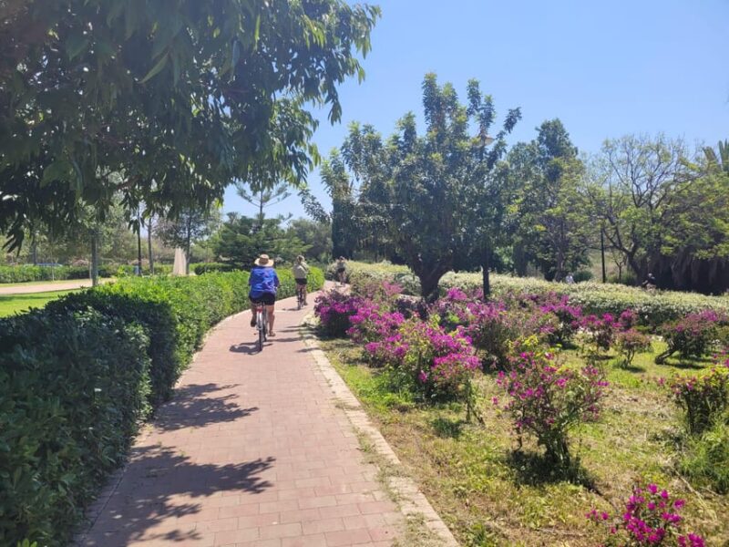 Valencia, Biketour of all the city with a local guide - Key Points
