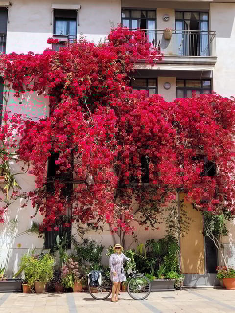 Valencia, Biketour of all the city with a local guide - Value and Overall Experience