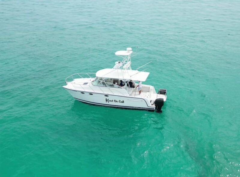 Valencia: Breakfast Brunch on a boat tour | food and drinks - Valencias Coastal Breakfast Cruise: Final Thoughts