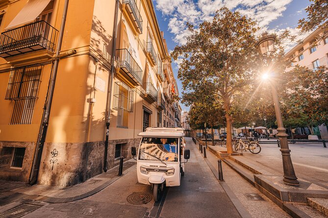 Valencia by Tuk Tuk i: Private tour 1 or 2 hours explore the city - Valencias Gothic Gates and City Entrance