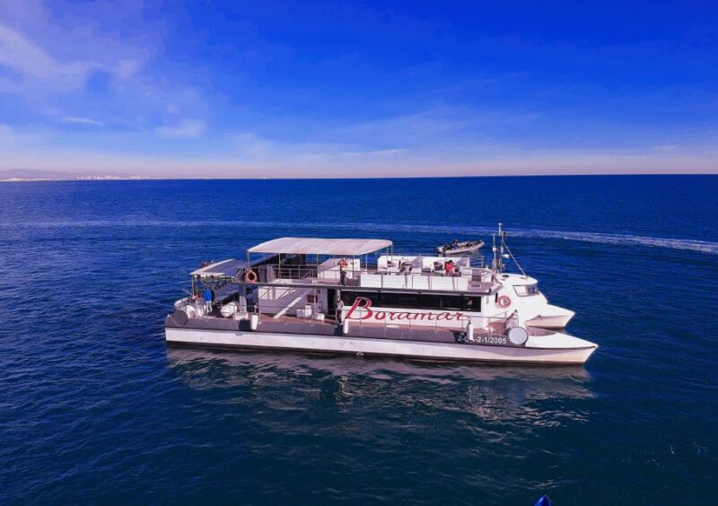 Valencia: Catamaran Cruise with Stop for Swimming - Exciting Valencia Catamaran Cruise at an Affordable Price