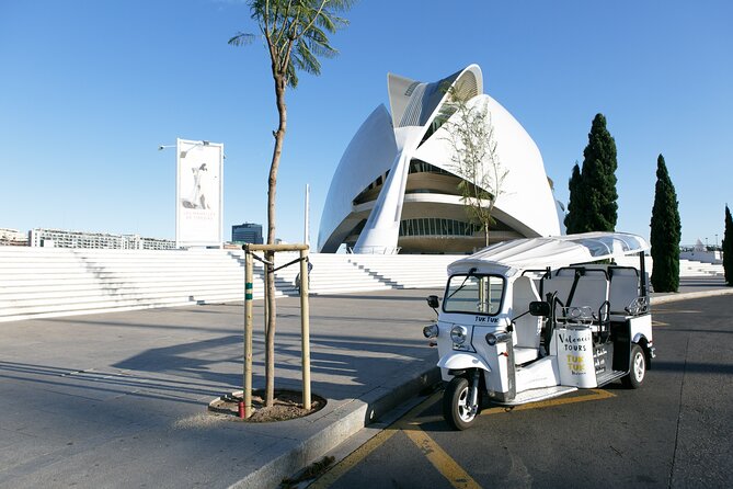 Valencia Complete Tour by Tuk Tuk - The Marina and Beach: Valencia’s Coastal Charm