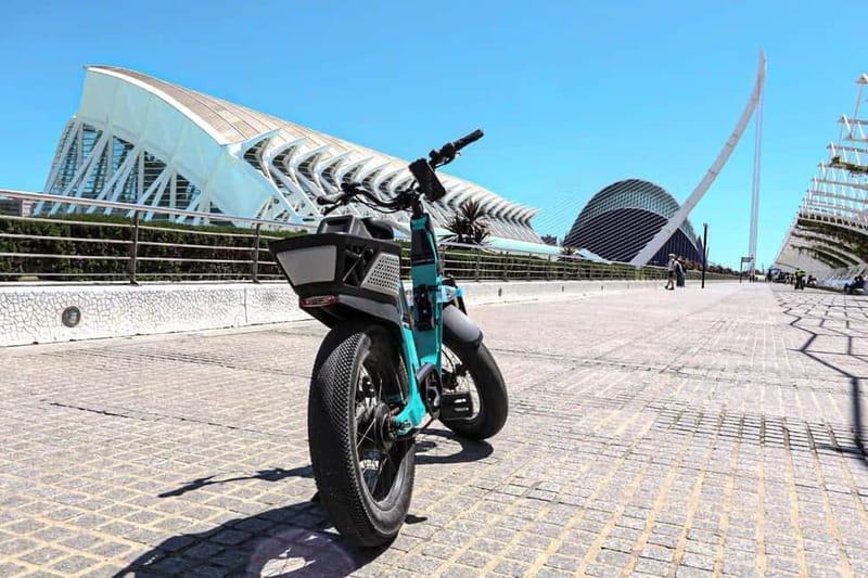 Valencia: E-bike Tour, Beaches, & City of Arts and Sciences - Key Points