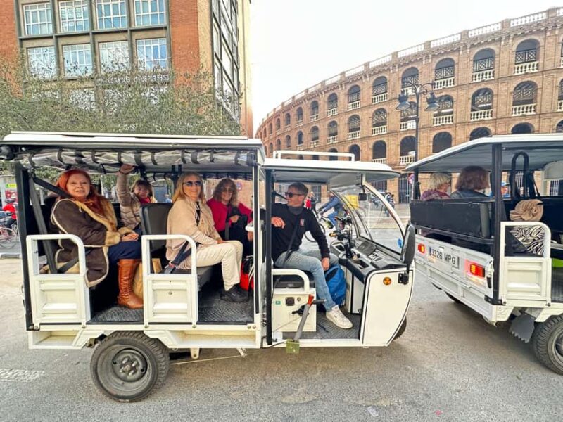 Valencia: Full 2-Hour Tuk Tuk Tour - Discovering the Vibrant Culture at La Marina de Valencia