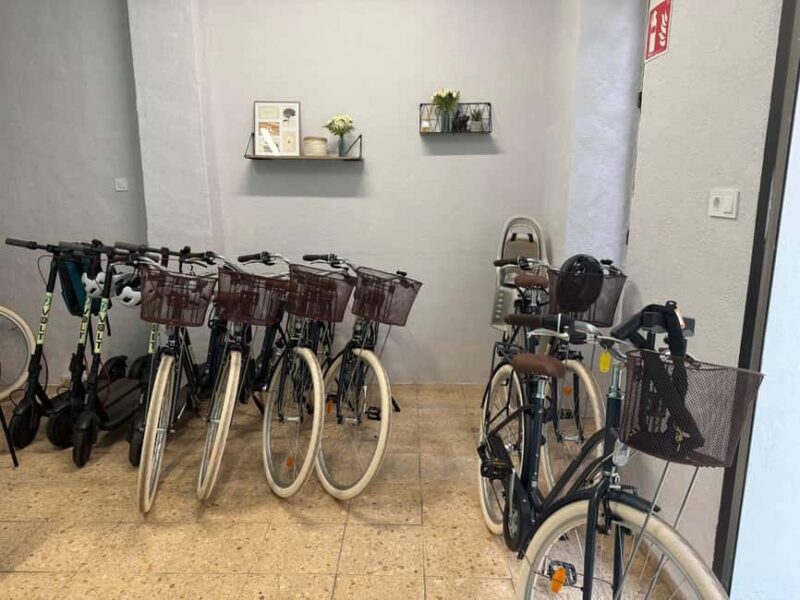 Valencia: Full-Day Bike Rental (9:30AM - 20:00PM) - Flexible Timing and Pacing for All Visitors
