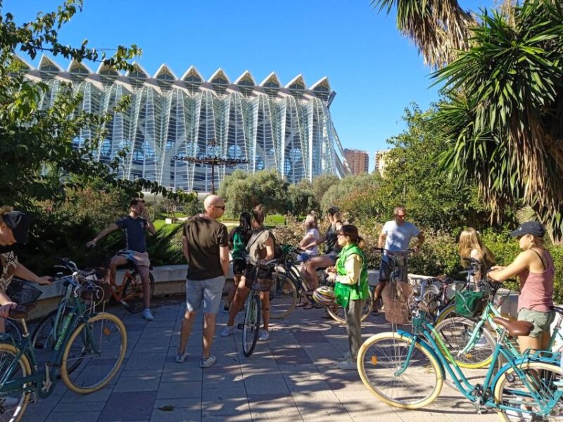 Valencia: Full-Day Bike Rental - Safety and Security on Your City Ride