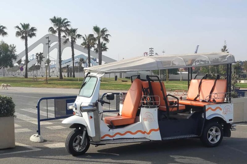 Valencia: Full Tuk Tuk Tour (2h) - Guides: Local Experts with a Personal Touch