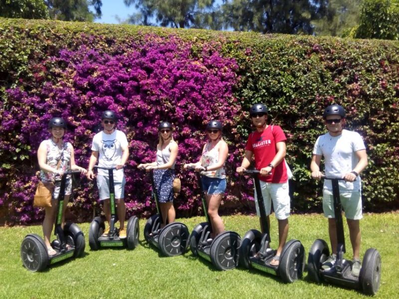 Valencia: Gardens Segway Tour 1h. - Navigating the Route Through Valencia’s Green Space