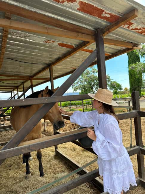 Valencia: Horseback Ride + Lunch + Hotel Pick-Up - Frequently Asked Questions