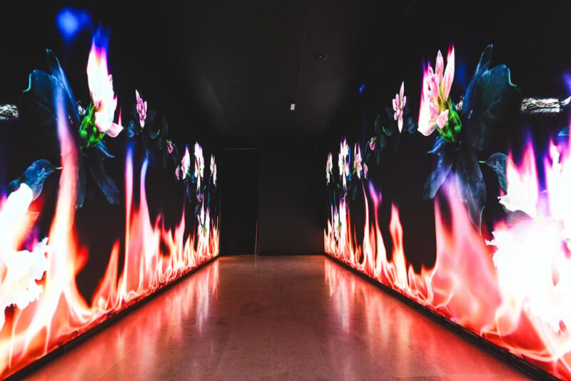 Valencia: Hortensia Herrero Art Center Ticket or Guided Tour - Explore Valencia’s Unique Art Space in the Historic Valeriola Palace