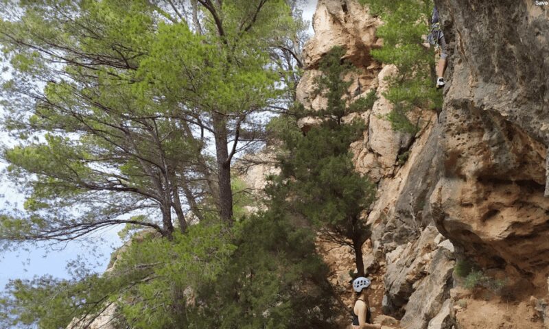 Valencia: Introduction to Sport Rock Climbing - Key Points