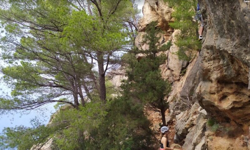 Valencia: Introduction to Sport Rock Climbing - Potential Drawbacks and Considerations