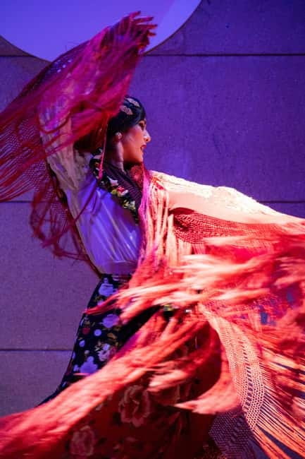 Valencia: La Linterna Flamenco Show - Key Points