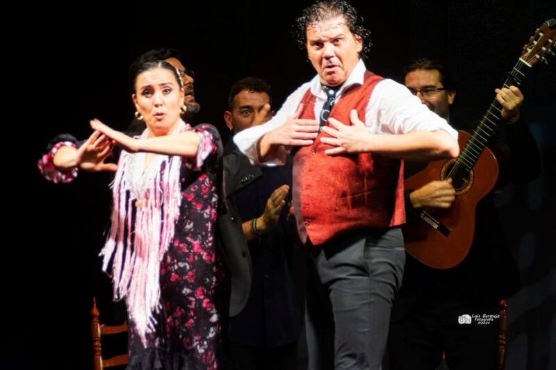 Valencia: New Flamenco Show in the Most Emblematic Theater of the City - Key Points