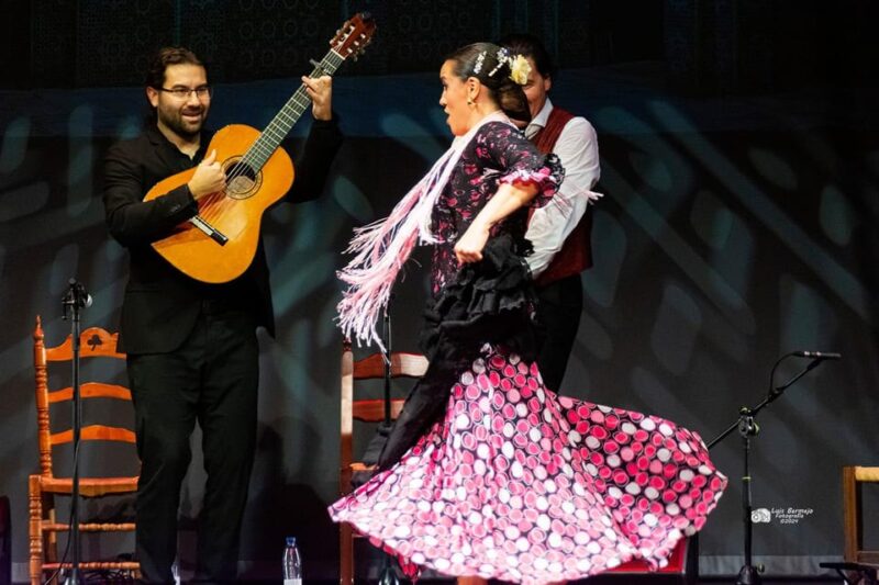 Valencia: New Flamenco Show in the Most Emblematic Theater of the City - The Experience: A Fusion of Tradition and Elegance