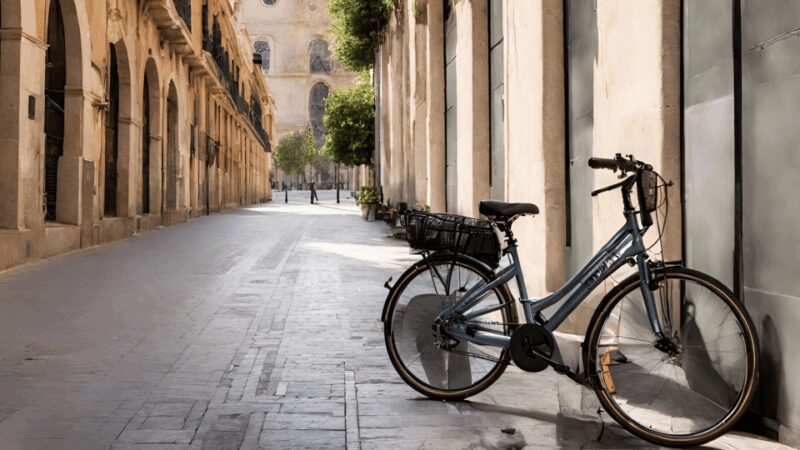 Valencia: Normal bike and Electric bike Rental Ruzafa - Explore Valencia’s Markets, Landmarks, and Beaches at Your Own Pace