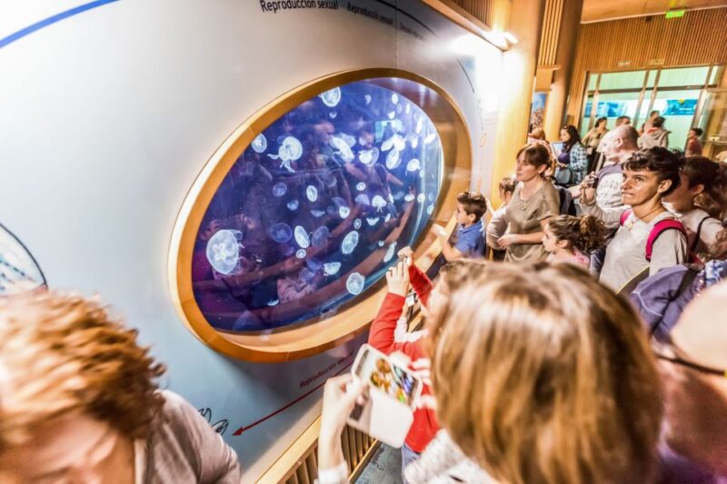 Valencia: Oceanogràfic Entry Ticket - The Longest Underwater Tunnel in Europe