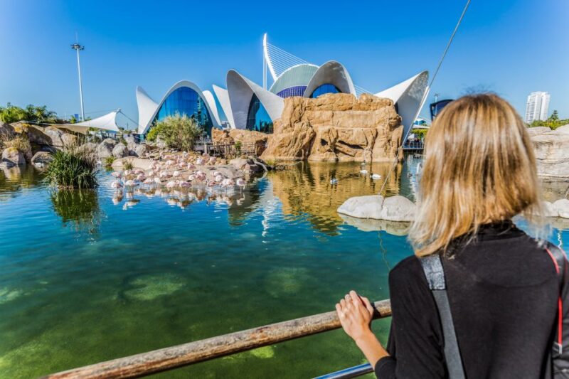 Valencia: Oceanogràfic Entry Ticket - Food, Rest Areas, and Visitor Comfort