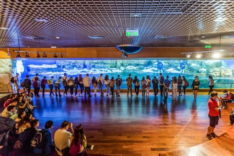 Valencia Oceanogràfic Entry with Backstage tour in Spanish - Learning About Water Filtration and Conservation