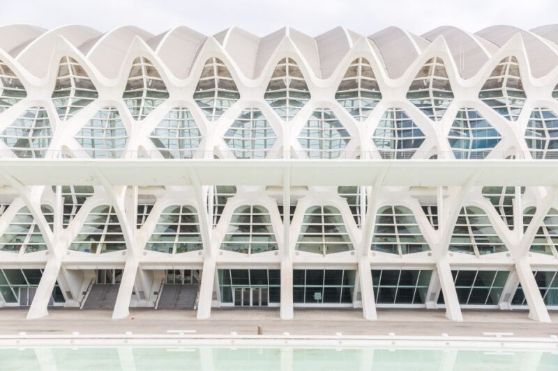Valencia: Oceanogràfic, Hemisfèric & Science Museum Combos - The Sum Up: A Dynamic Day in Valencia’s Architectural and Marine Marvels