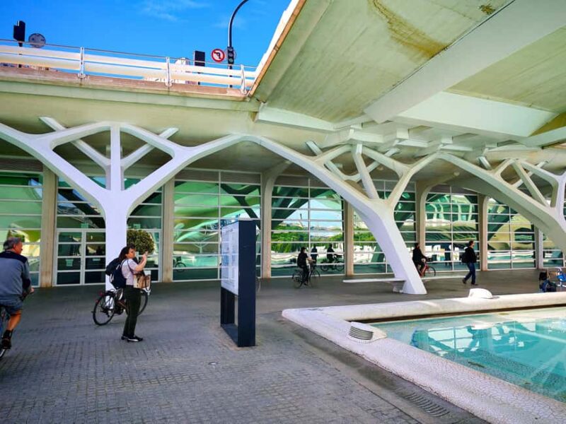 Valencia: Old Town to City of Arts Guided E-Bike Tour - Key Points