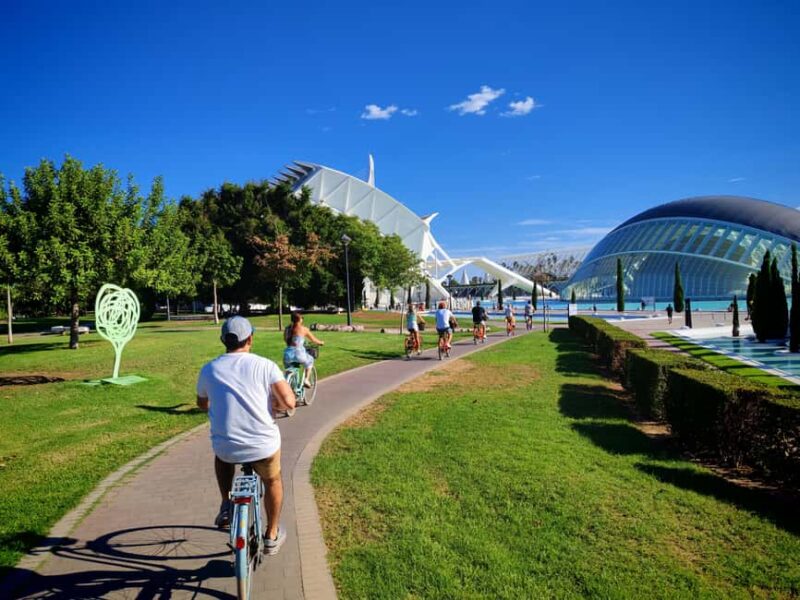 Valencia: Old Town to City of Arts Guided E-Bike Tour - Practical Aspects: Group Size, Guides, and Photos