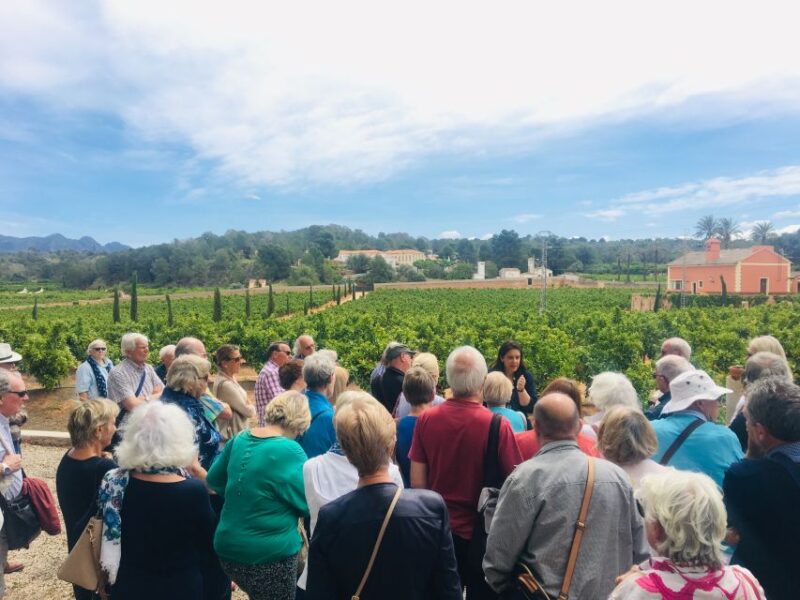 Valencia: Orange Farm and Orchard Trip with Tastings - Final Thoughts on the Orange Farm Tour in Valencia