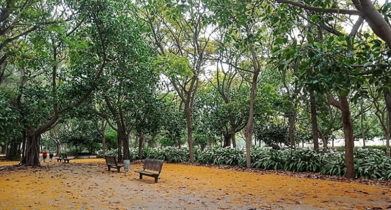 Valencia Paella Beach Tour in E-Bike - Practical Details: Meeting Point, Group Size, and Additional Info