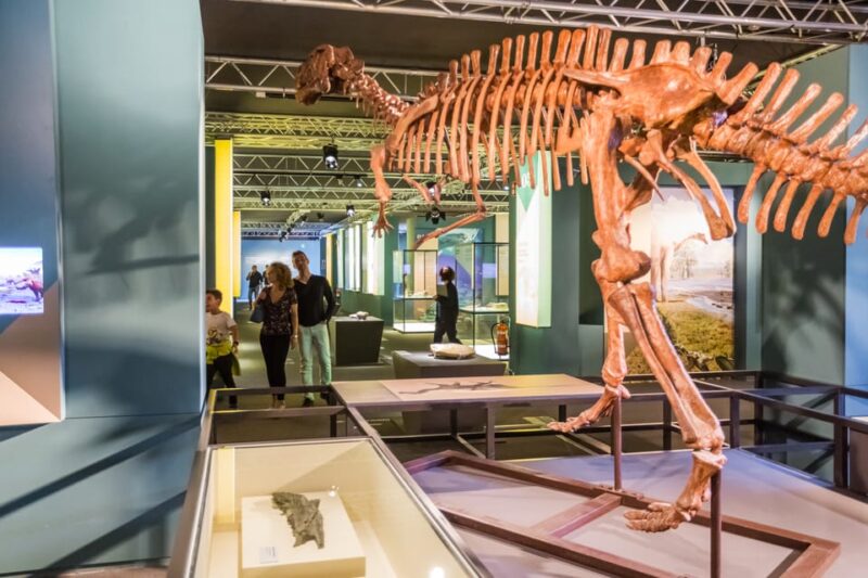 Valencia: Principe Felipe Science Museum Entry Ticket - The Upcoming Leonardo da Vinci Exhibition in 2025