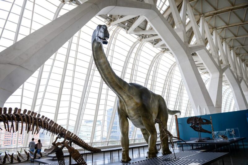 Valencia: Principe Felipe Science Museum Entry Ticket - Comparing This Tour to Other Valencia Experiences