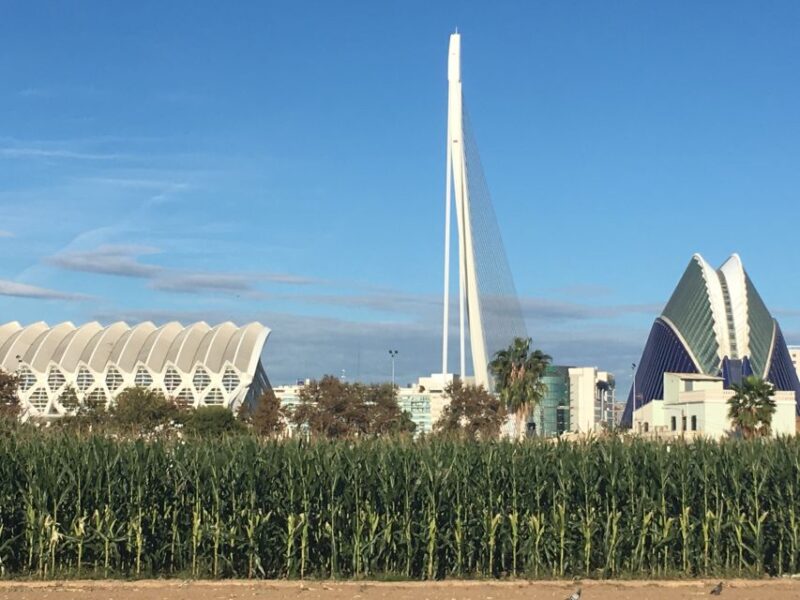 Valencia: Private 4-Hour Shore Excursion - Personalization and Accessibility