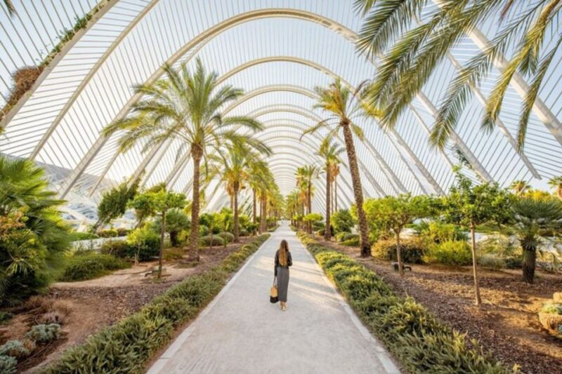 Valencia: Private custom tour with a local guide - Walking Through Valencia’s Historic Districts