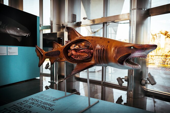 Valencia Private Family Tour - The Playful Marvel of Gulliver Park