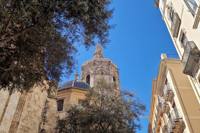 Valencia Private Walking Tour with Official Valencian Guide - Starting at Plaza de la Virgen: The Heart of Valencia’s History